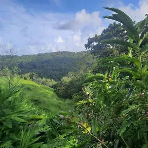  Appartement Les Roses Porcelaines Guadeloupe